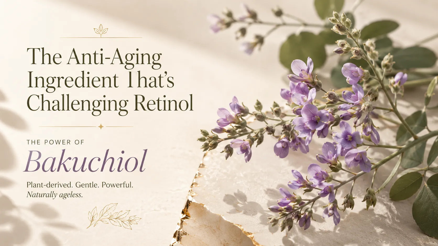 Luxury editorial banner featuring Bakuchiol flowers, highlighting Bakuchiol as the plant-derived anti-aging ingredient challenging retinol for smoother, firmer, healthier-looking skin.