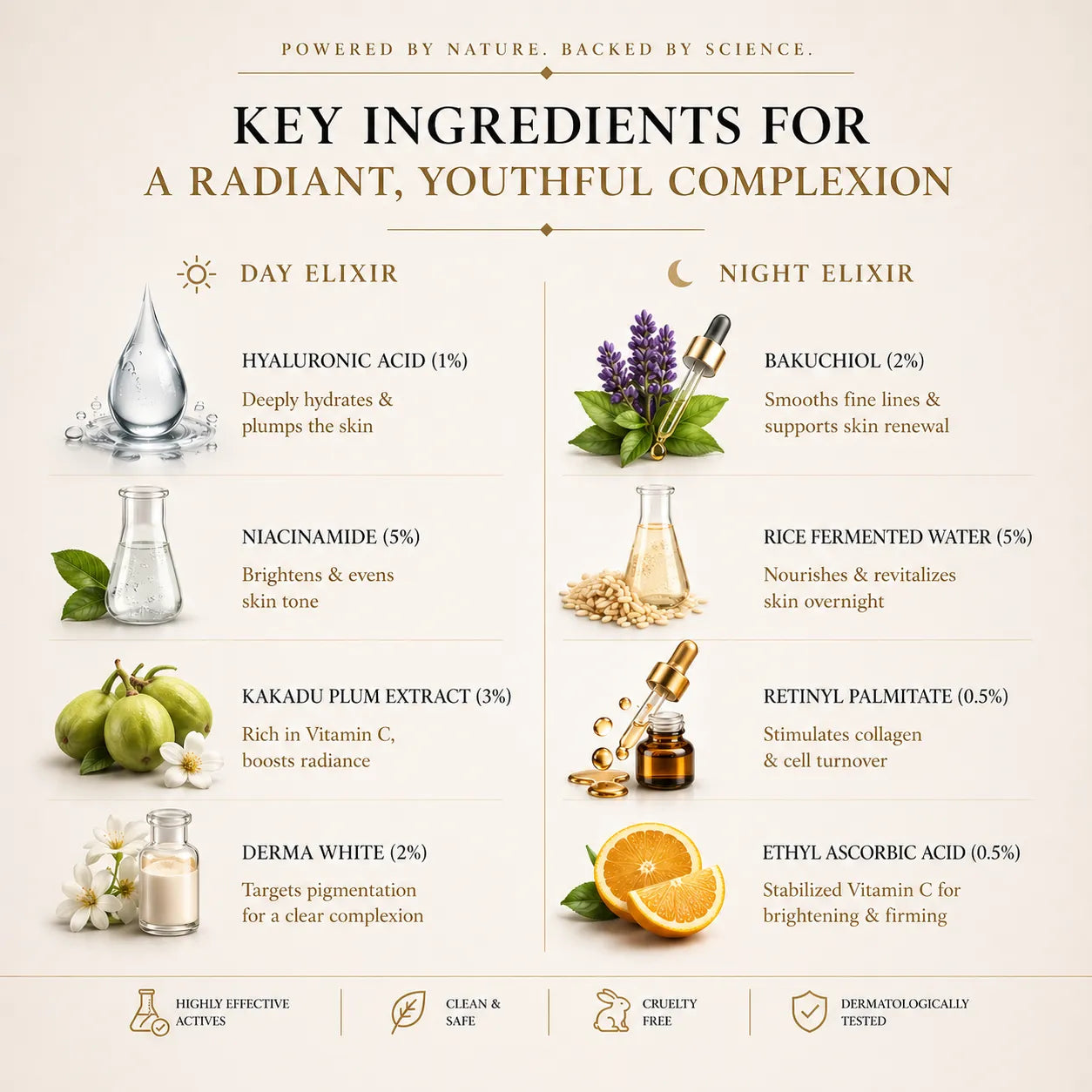 Infographic detailing key ingredients for a radiant, youthful complexion with images and descriptions.