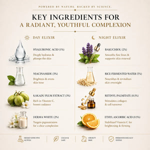 Infographic detailing key ingredients for a radiant, youthful complexion with images and descriptions.
