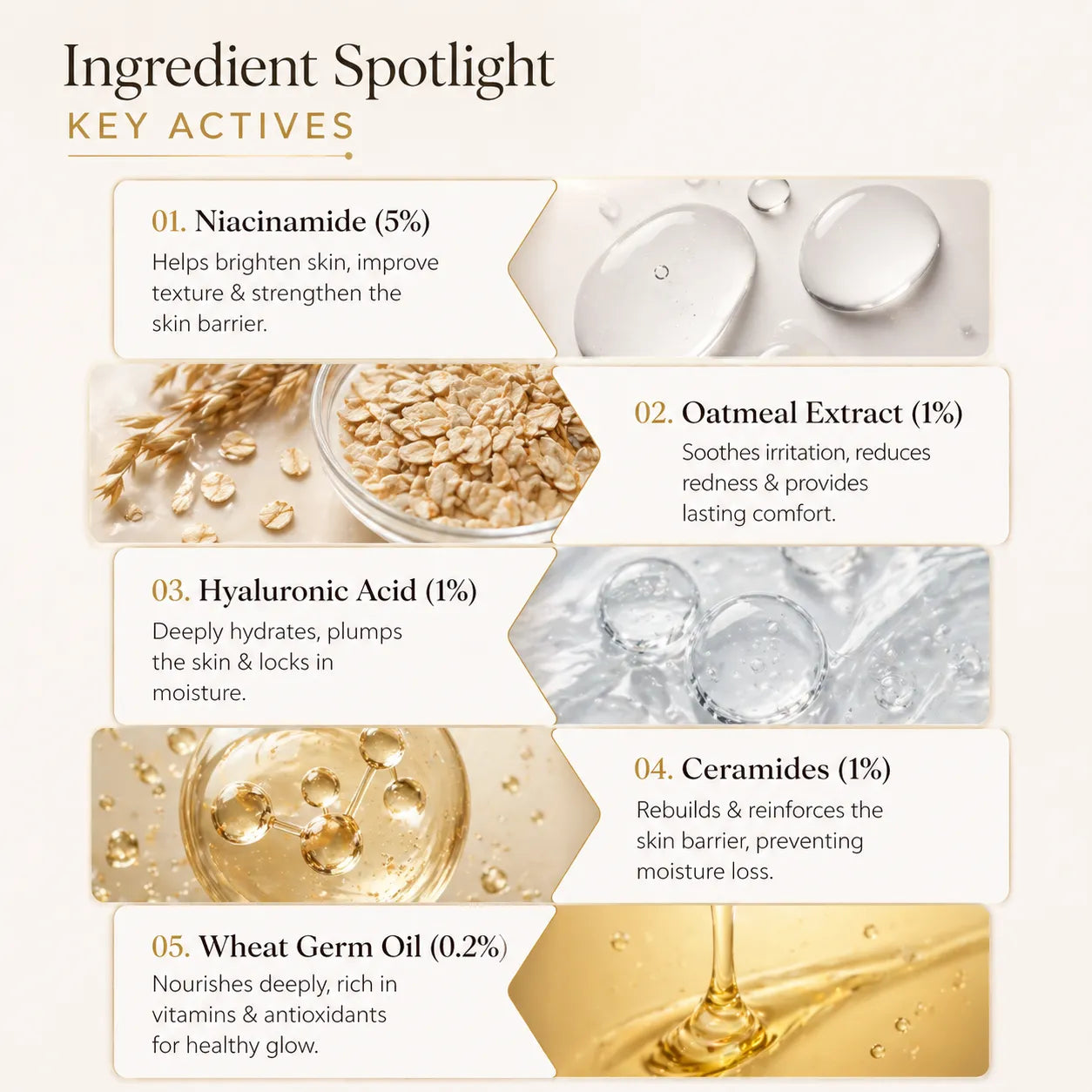 Ingredient spotlight with key active ingredients for skincare on a white background