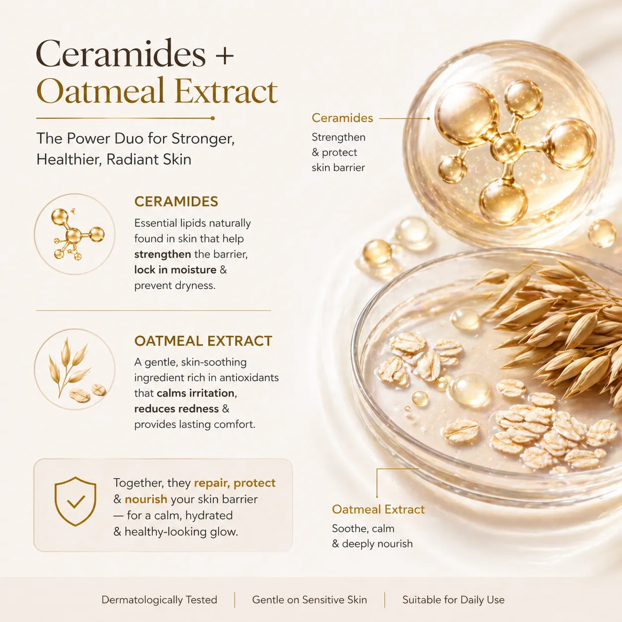 Infographic about ceramides and oatmeal extract for skin health with images and text.