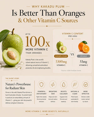 Infographic comparing Kakadu plum to oranges for vitamin C content.