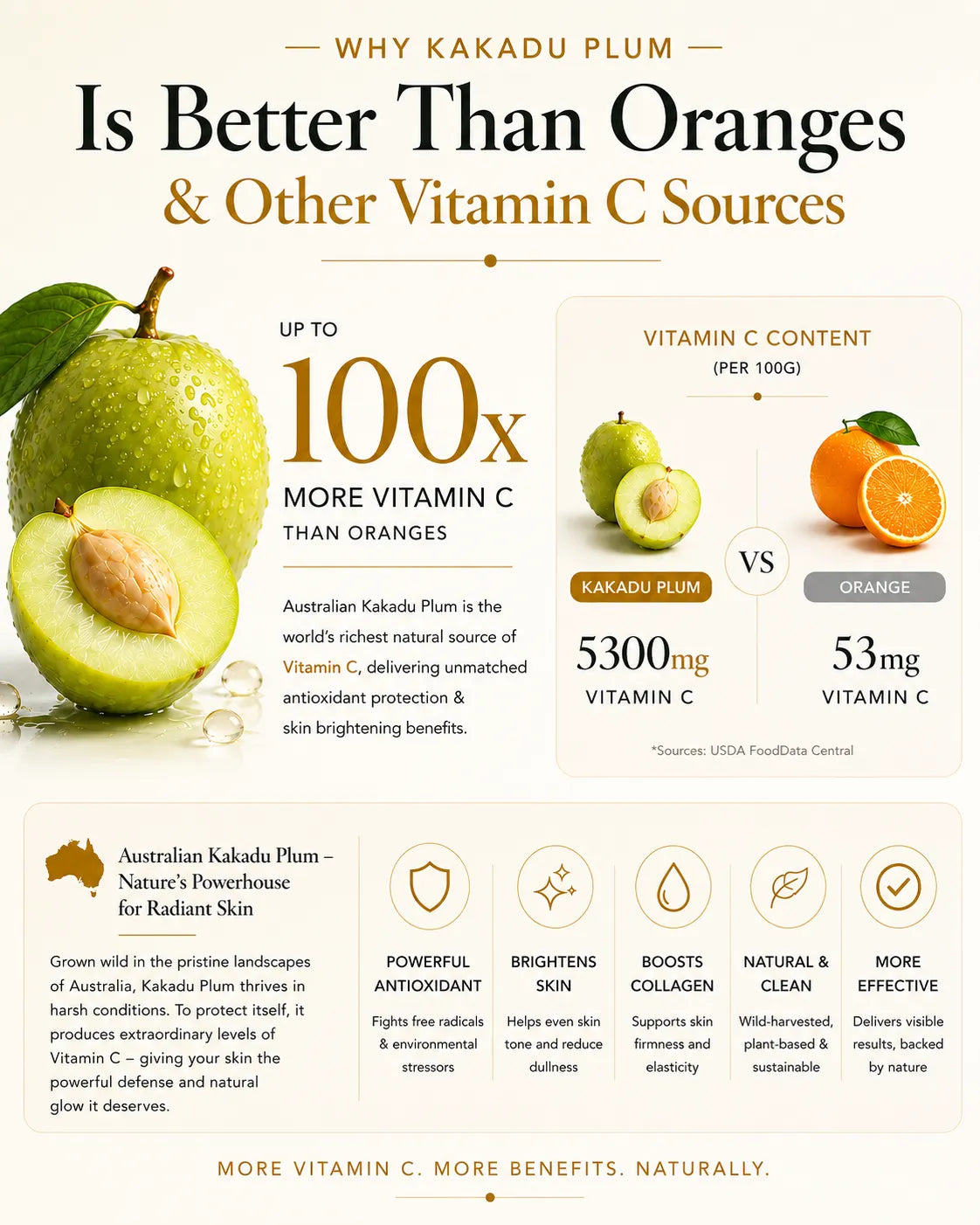 Comparison of Kakadu plum and orange vitamin C content with health benefits highlighted.
