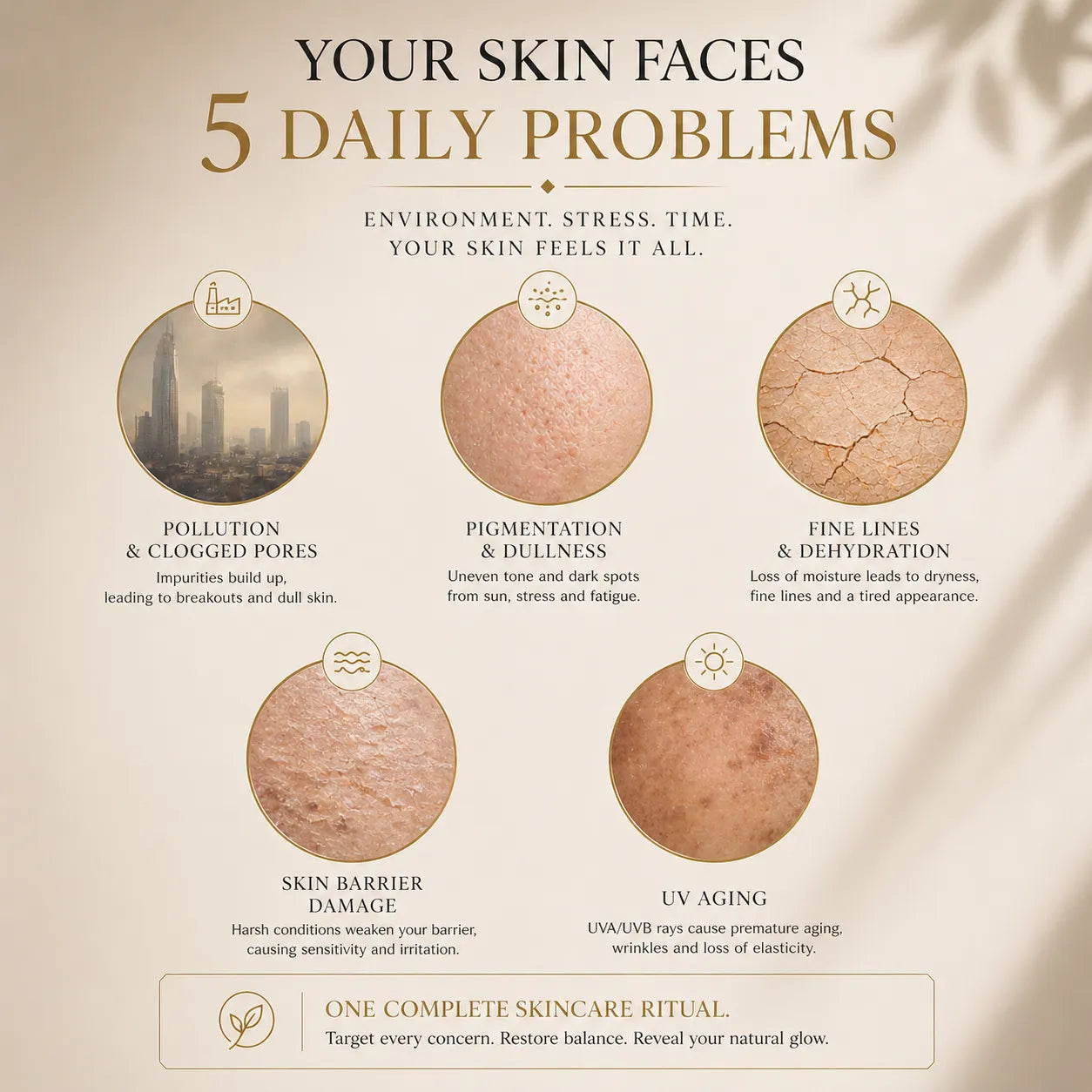 Diagram of skin problems and their causes with a beige background
