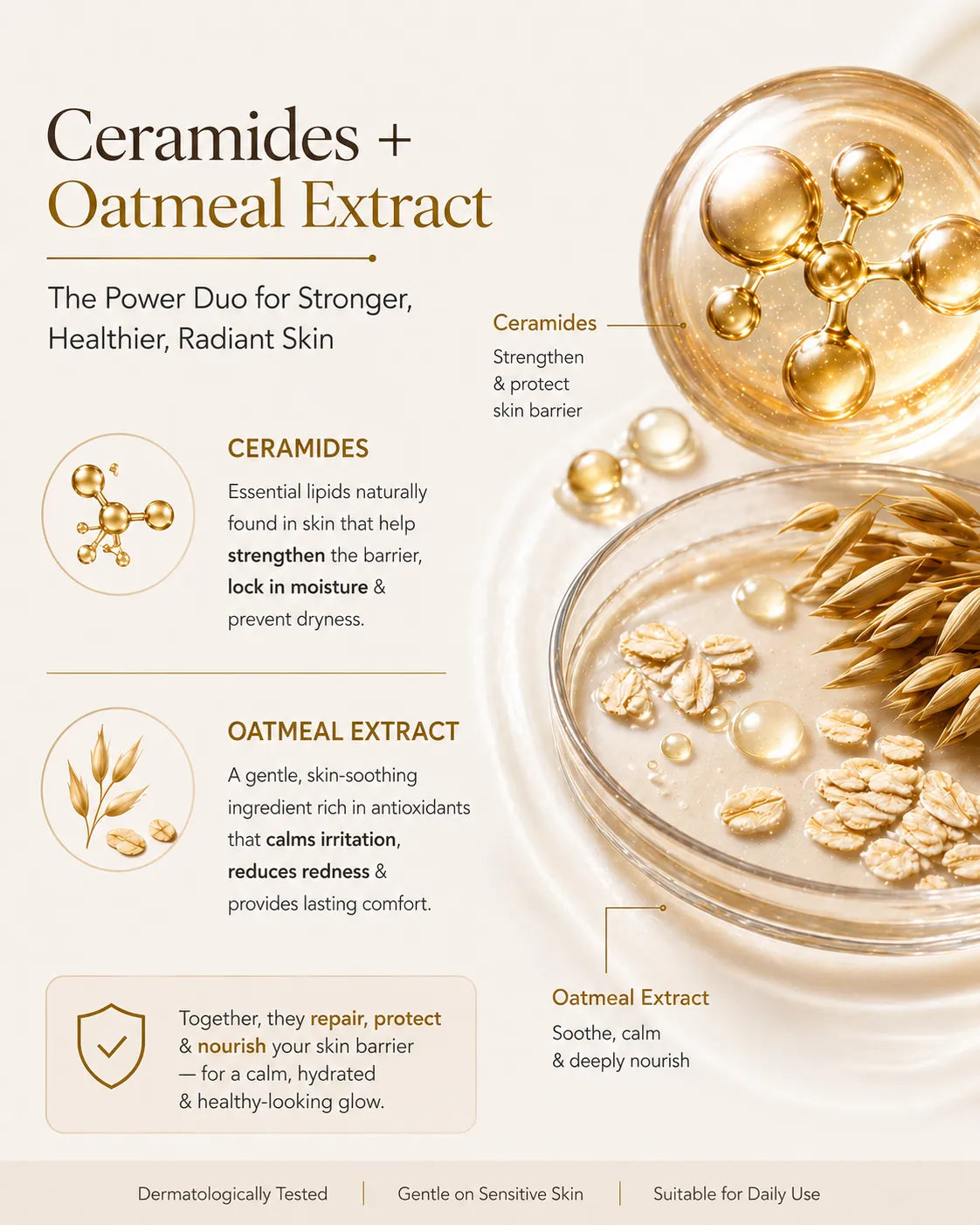 Infographic explaining how ceramides and oatmeal extract strengthen the skin barrier, reduce redness and provide long-lasting hydration in GlowBareSkin Radiance Revive Moisturizer.